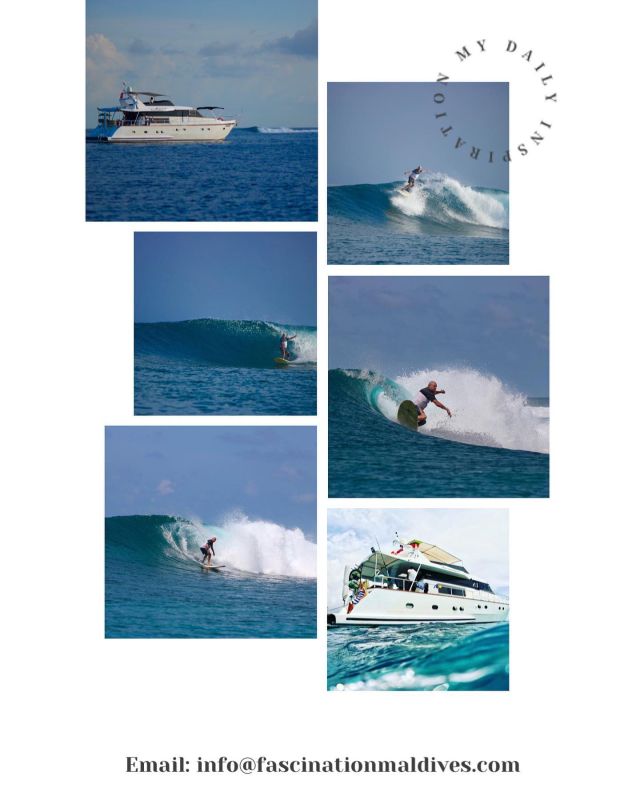Surfing 🏄🏼‍♂️ trip with our South African couple !! Private surf charter 15 nights on yacht 🛥️ Fascination, route up North !! 
Unspoiled surf breaks !!
🔥 Private waves 🌊 ‼️

🔥 Special discount for end of September 🔥

Ask for your quotation for uncrowded waves 🌊 on a uncrowded yacht !! Just you and your family or friends, private luxury yacht with 3 double cabins for up to 6 surfers 🏄🏽 
Try something different, try something Special ‼️ 

Email us:
info@fascinationmaldives.com
📞 WhatsApp +330609870931

www.fascinationmaldives.com

#pumpingwaves #wavesofmaldives #surf #surfingphotography #surflife #surfingmagazine #maldivessurf #maldivesislands #maldive #maldives_ig #surfclub #yachtsurfinginternational #surfwaves #surfbreak