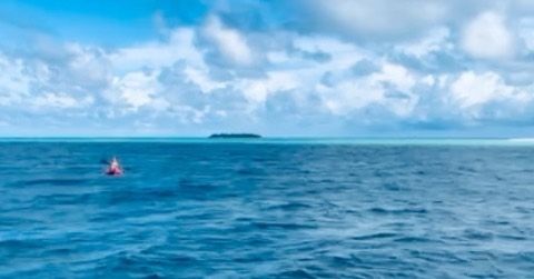 Adventure day !! On yacht Fascination 🛥️ 

Surfing 🏄🏼‍♂️ and kayaking the turquoise waters of the Maldives 🇲🇻 
Desert island 🏝️ lunch then back to the yacht 🛥️ for sunset drinks and dinner 🍽️ !!
Night anchor with a view !!
💗Take me there to never return 💗

Looking for a paradise holiday away from the crowd and on a private luxury yacht 🛥️ 
You have found it !! 
📍Yacht Fascination surf and kayak trips 
Yacht can be for a couple or families up to 6 guests in 3 double cabins with bathrooms 

Contact us for info
ℹ️ info@fascinationmaldives.com 
📞WhatsApp +330609870931

www.fascinationmaldives.com 

#fascination_maldives #surf #surftime #surftrips #paradise🌴 #paradiseholidays #maldives #maldivesislands #maldivas #takemetherenow #kayaking #kayakadventures #wonderful_places #memories💕 #beachlife #yachty #yachtcharters #maldivescharters #yachtmagic #yachtholidays