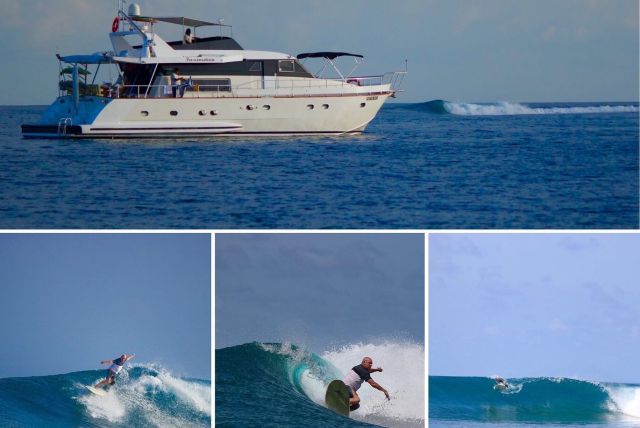 ‼️ Last chance for surfing 🏄🏼‍♂️ ‼️
October special discount for surfing trip in North Male Atoll ‼️ 🔥 special rates for last minute booking ‼️

Group up to 6 pax for 7 to 10 nights 

📍Come to the Maldives and surf in October ‼️ 

Email us from r quotation: info@fascinationmaldives.com
www.fascinationmaldives.com 

#surf #surftravel #surftrips #surftribe #surfboard #maldivas #maldivessurf #surfmag #surfmagazine #surftraining #surftravels