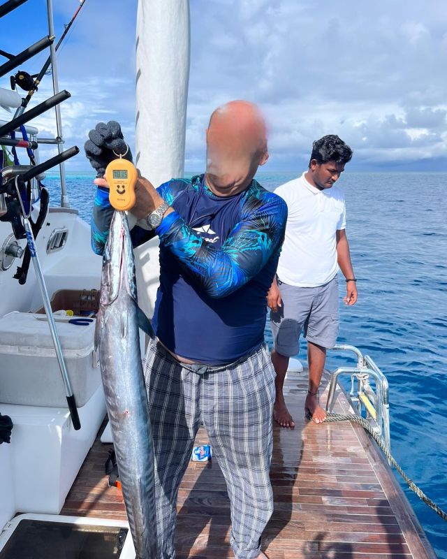 Fishing 🎣 trip on yacht 🛥️ Fascination 
What a catch today !!!
Wonderful !!

7 nights fishing trip
Up to 6 guests 
3 double cabins 
Full board meal plan 
Fishing: trolling during travel 
From the dinghy: trolling, popping, jigging 
Night fishing 
From the beach: fly fishing 
……and the ladies just sit back relax sunbathing on the yacht a cocktail 🍹 in their hand 👍😎

For more information ℹ on our fishing trips for friends or family, just send us an email to:
info@fascinationmaldives.com
📞 WhatsApp +330609870931 Maxine 

www.fascinationmaldives.com 

#fishingtrip #fishingtrips #fishingtravel #maldives #maldives🇲🇻 #maldivefishingnextyear #maldivesfishingcharters #yachtfascinationmaldives #fishinglife #fishwithus #fishwithfamily #maldiverna #maldivesfishingcharter #yachtcharters #yachtcharterfishing #fishingmagazine #magazinedepeche #fishinglures #wahoofishing #wahoomaldives