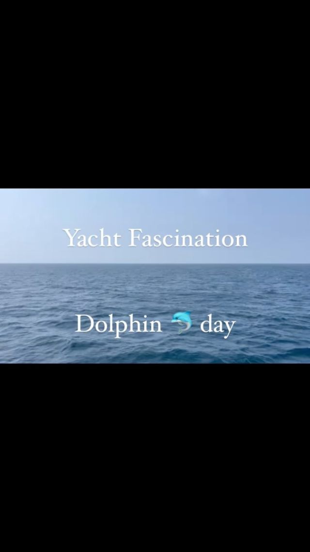 Dolphins 🐬 today playing around the yacht 🛥️ !! 

www.fascinationmaldives.com

#fascination #dolphins #dolphins🐬 #maldives #maldivesdolphinwatching #maldivesdolphins🐬🐬🐬 #wildsealife #maldivas #maldiveyachts #yachtlife #yachtpeople #maldives🇲🇻