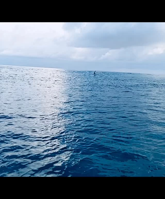 Foiling in the Maldives 🇲🇻 from yacht Fascination 
Foiling trip

www.fascinationmaldives.com 

#foiling #hydrofoil #hydrofoiling #maldives #fascinationmaldives