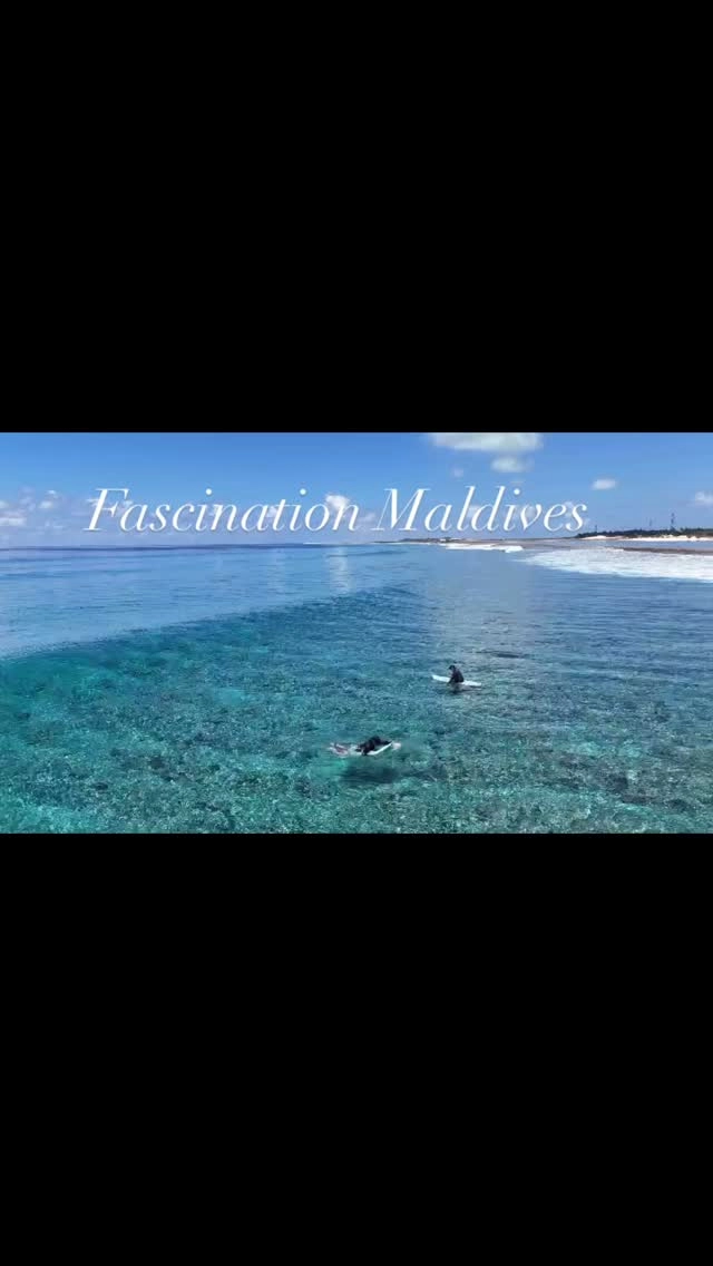 Côme to surf in the Maldives 🇲🇻 on a private luxury yacht 🛥️ just you and your mates or family 

ℹ️ contact us
info@fascinationmaldives.com 

#maldives #fascinationmaldives #surf #surfworld #surftrip