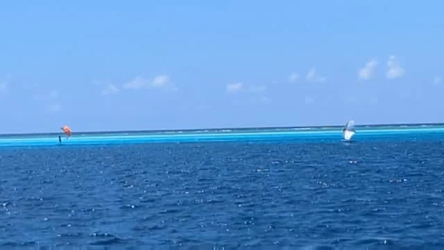 Some windsurfing and kitesurfing today !!

www.fascinationmaldives.com 
#windsurf 
#foiling 
#maldives 
#surfphotography 
#fascinationmaldives