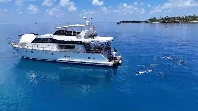 Swimming with nurse sharks 🦈 experience this great adventure on yacht 🛥️ Fascination in the Maldives 🇲🇻 during your snorkeling 🤿 & island 🏝️ hopping holiday !! 
We will take you there !! 

For more information ℹ️ on our yacht 🛥️ holidays in the Maldives 🇲🇻, please contact us to set up a tailored made trip for you and your loved ones ! 
Email us: info@fascinationmaldives.com 

www.fascinationmaldives.com 

#maldives #swimmingwithnursesharks #maldivescruise #yachtcharters #maldivesislands