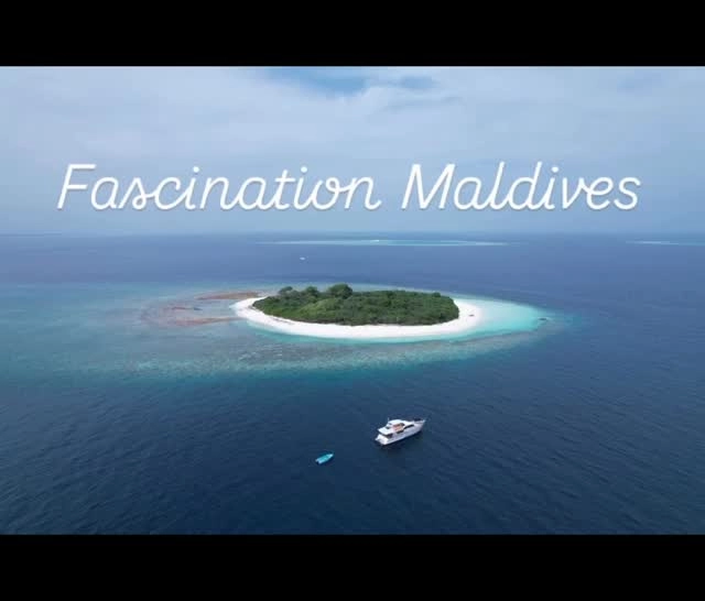 Yacht Fascination island hopping & snorkeling trips !! This is what they look like !! Enjoy the journey…. Live your dreams 

20 meter, 3 cabins luxury private yacht for up to 6 guests 

For info and prices please message us 
📧 info@fascinationmaldives.com 

WhatsApp +33609870931

www.fascinationmaldives.com

#maldives #yachtcharters #islandhoping #maldivesislands #fascinationmaldives