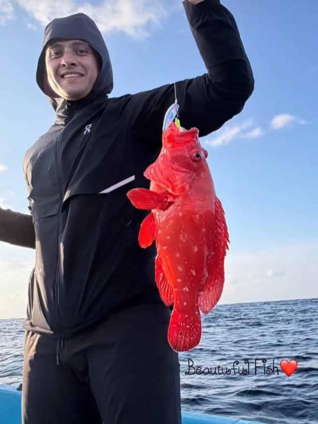 Fishing trip with the family !! Get together and we will organize your family fishing holiday on private yacht Fascination in the Maldives 

Contact us 
Email 📧 info@fascinationmaldives.com 
WhatsApp call +33609870931 

#maldives #fishing #fishingtrips #yachtfishing #fishingdaily