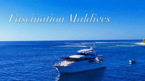 Looking to charter a private yacht 🛥️ in the fabulous Maldives 🇲🇻 !!
Fascination is for you !! 20 meter Falcon yacht, 4 crew just for you to be pampered !! 3 cosy double / twin cabins with bathrooms for up to 6 guests 
Tailored made trips , you choose your route and we will sail you there ! Every day different activities like snorkeling, fishing, surfing, diving, sand beaches with confort sunbeds and shade set up, desert and local island visit 

Ask us to make your dream come true ! We will tailor make it !
Email us for info ℹ️ info@fascinationmaldives.com 
WhatsApp : +33609870931
 
🌎 www.fascinationmaldives.com 

#maldives #maldivestrip #charteryachts #familyvacation #yachtcharter