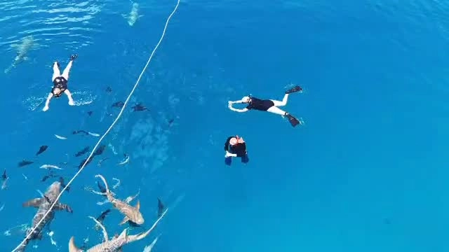 #maldives #fascinationmaldives #yachtcharters #wounderful_places #lifeisbeautiful