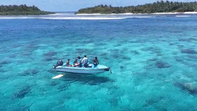 Just take me there in this lost turquoise crystal waters !! Surf 🏄🏻‍♂️ your but away !!
www.fascinationmaldives.com 

#maldives #surflife #surf #turquoisewater #sunsurfsand