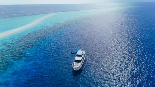 Let’s stop off on a desert island for day and have dinner !! 
The feeling and the memories are unforgettable !!

 www.fascinationmaldives.com

#yachtcharter #yachtcharterworldwide #maldivesadventure #desertisland #maldiveisland