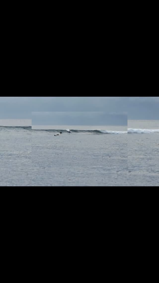 Surfing in Thaa atoll, central atolls of the Maldives 🇲🇻 

www.fascinationmaldives.com 

#surftrip #surf #maldivestrip #yachtsurfinternational #internationalsurfingday