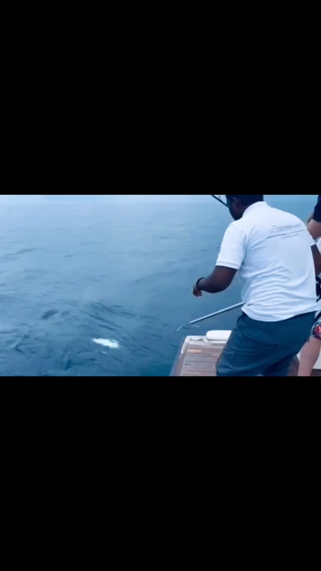 Fishing trip in the Maldives 
The best luxury fishing trip for your group of friends or family !! 

We will take you to the best fishing grounds 

Book your fishing 🎣 trip 
Email us for information and quote 
 📧 info@fascinationmaldives.com 

Call us for a chat with our advisor 
WhatsApp Maxine: +33609870931

www.fascinationmaldives.com 

#fishing #maldives #fishingtrip #fishingcharter #fishingholiday